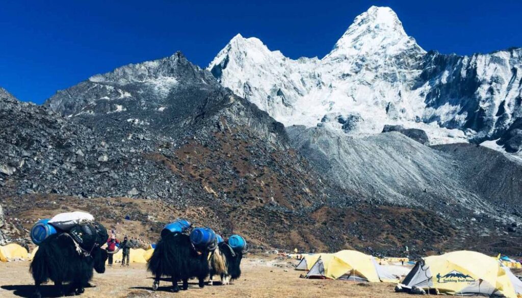 AmaDablam Base Camp Trek
