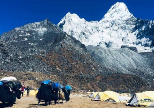 AmaDablam Base Camp Trek
