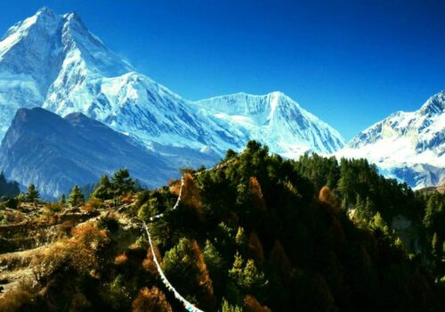 Manaslu vs Annapurna Circuit Trek