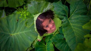 Pictures-luring-you-into-nepal