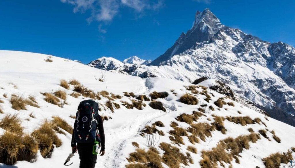 Mardi Himal Trek Guide
