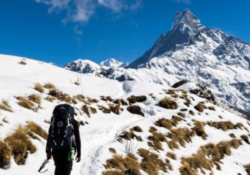 Mardi Himal Trek Guide